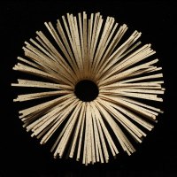 Jo Howe book sculpture echoes-of-fragrant-voices